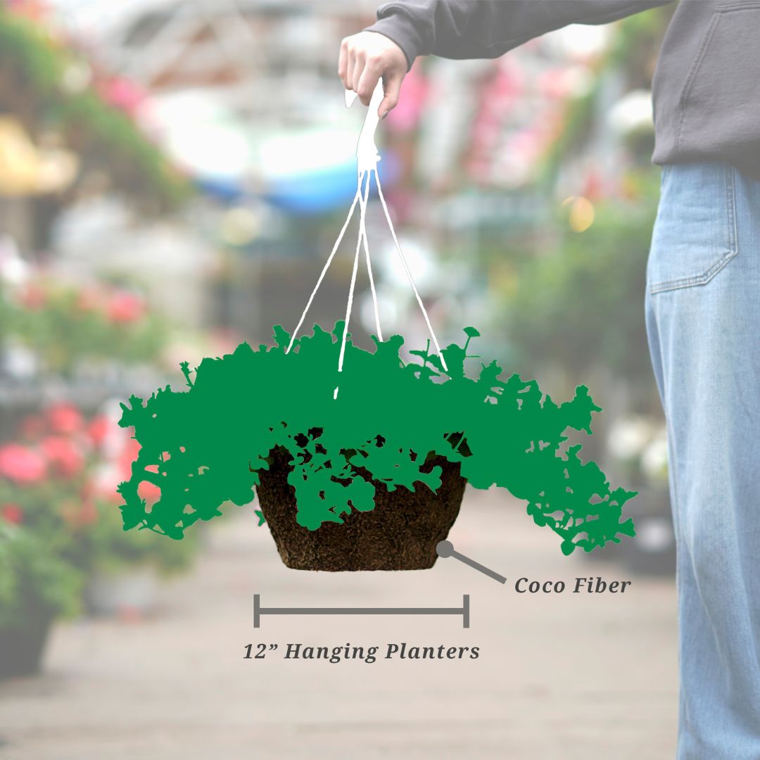 Combo – Blue Ridge – 12″ Hanging Basket